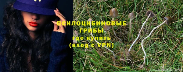 apvp Елизово
