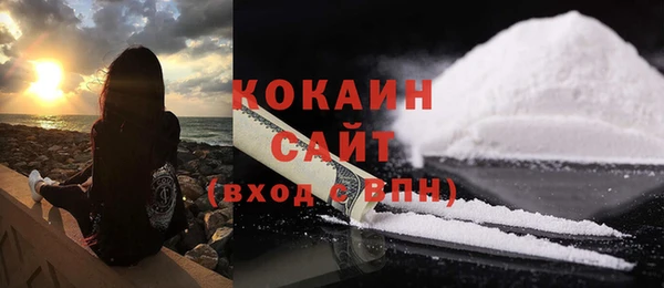 МДПВ Ельня
