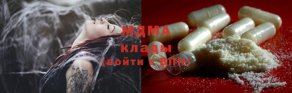 МДПВ Ельня