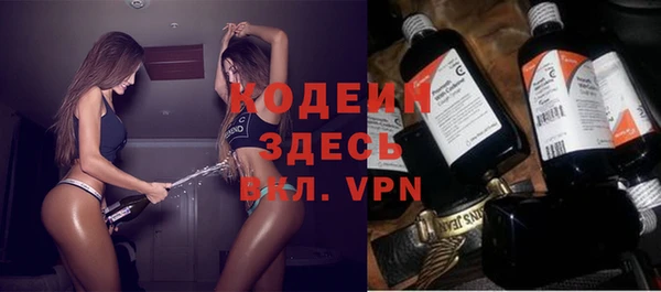 МДПВ Ельня