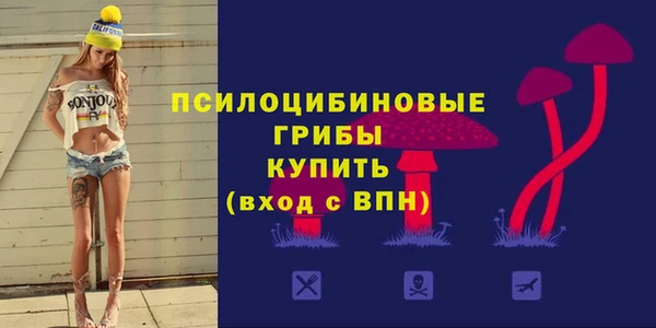 apvp Елизово