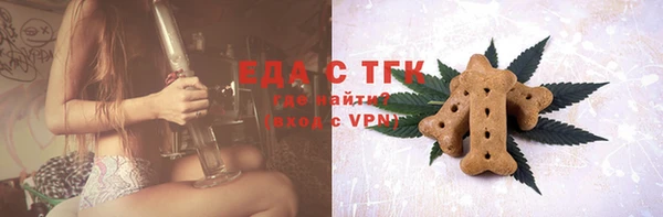 МДПВ Ельня