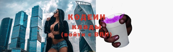МДПВ Ельня