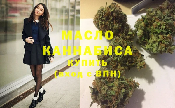 МДПВ Ельня