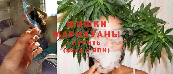 МДПВ Ельня