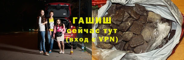МДПВ Ельня